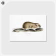 2-83_Indian-Zoology_postcard