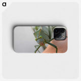2-83_Insects-Unlocked-Project_phone