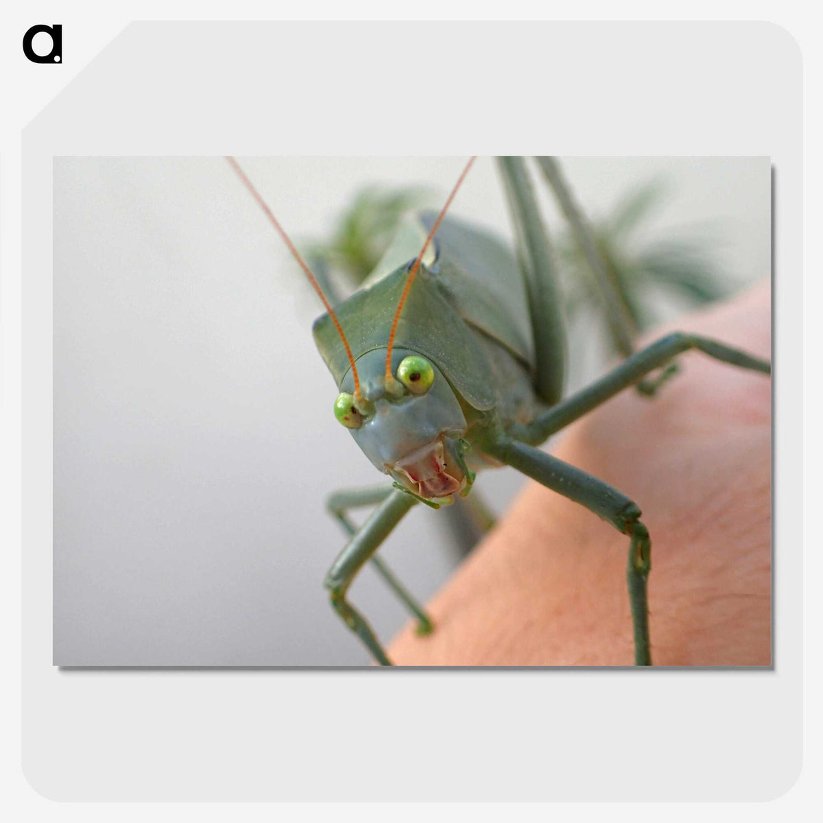 2-83_Insects-Unlocked-Project_picture-crop