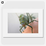 2-83_Insects-Unlocked-Project_picture