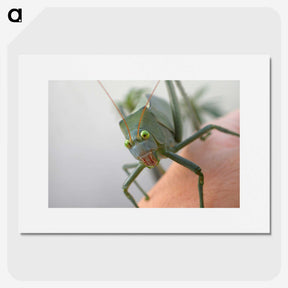 2-83_Insects-Unlocked-Project_picture