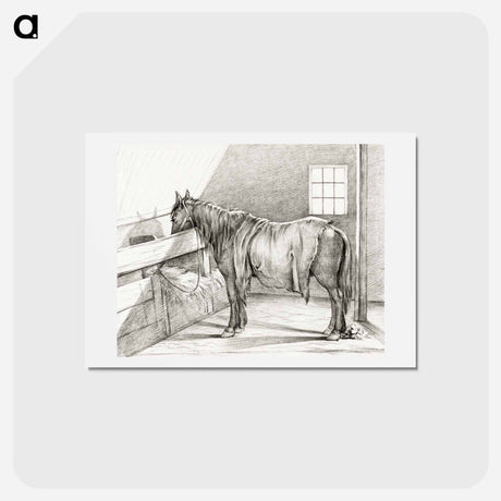 アートポストカード-Standing horse in a stable - ジャン ベルナール Postcard.