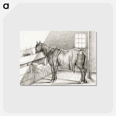 アートポストカード-Standing horse in a stable - ジャン ベルナール Postcard.