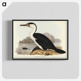 2-83_John-Gould_blk-crop