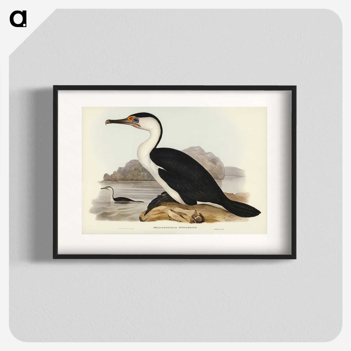 2-83_John-Gould_blk