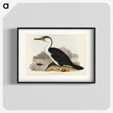 2-83_John-Gould_blk