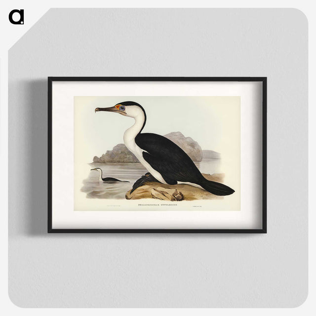 2-83_John-Gould_blk