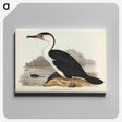 2-83_John-Gould_canvas