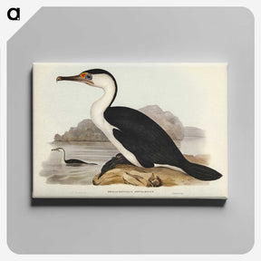 2-83_John-Gould_canvas