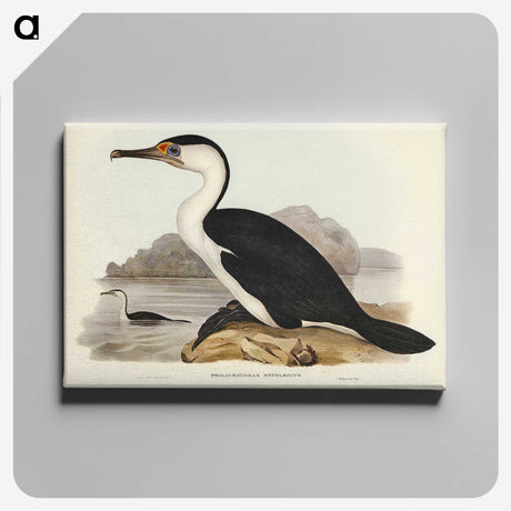 2-83_John-Gould_canvas