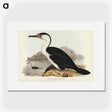 2-83_John-Gould_picture
