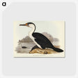 2-83_John-Gould_postcard