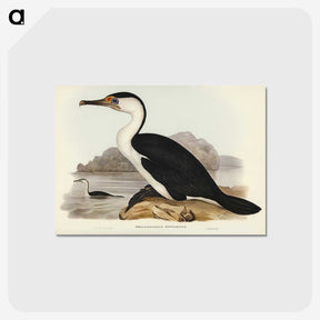 2-83_John-Gould_postcard