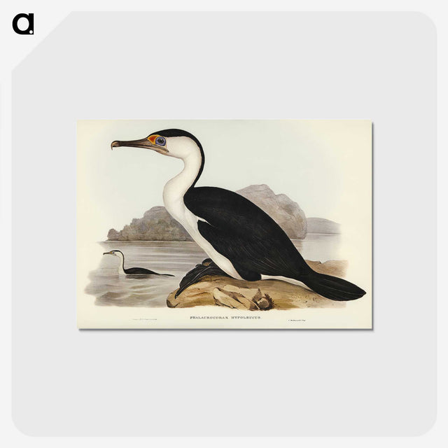 2-83_John-Gould_postcard