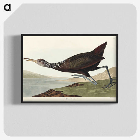 2-83_John-James-Audubon_blk-crop