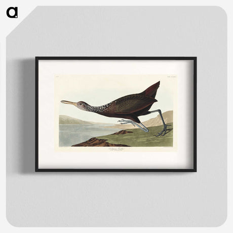 2-83_John-James-Audubon_blk
