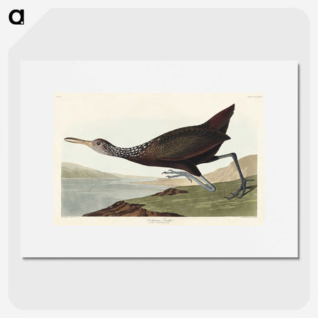 2-83_John-James-Audubon_picture