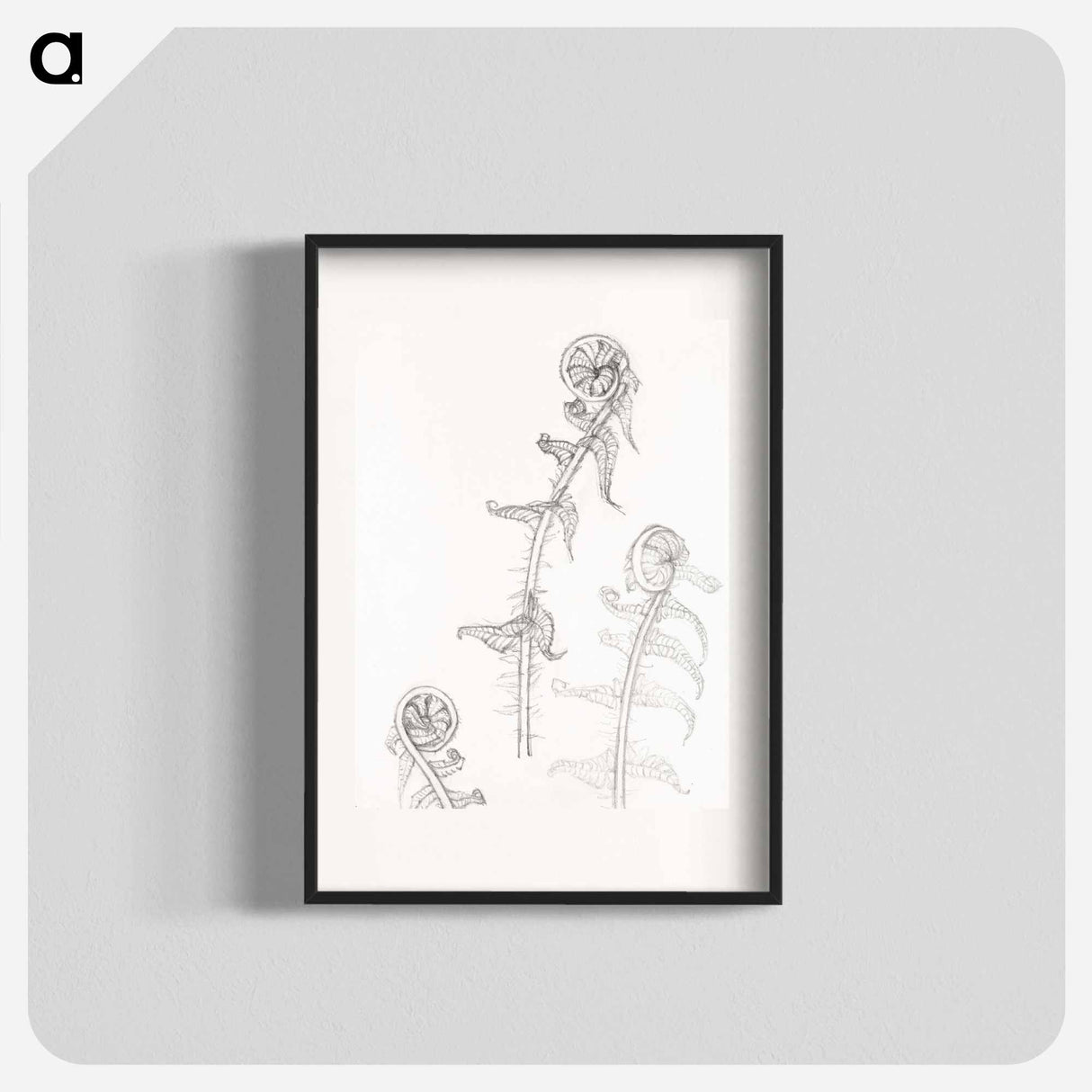 Sketches of fronds - Julie de Grague Poster.