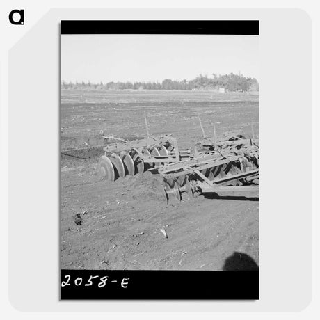 2-83_Marion-Post-Wolcott_picture-crop