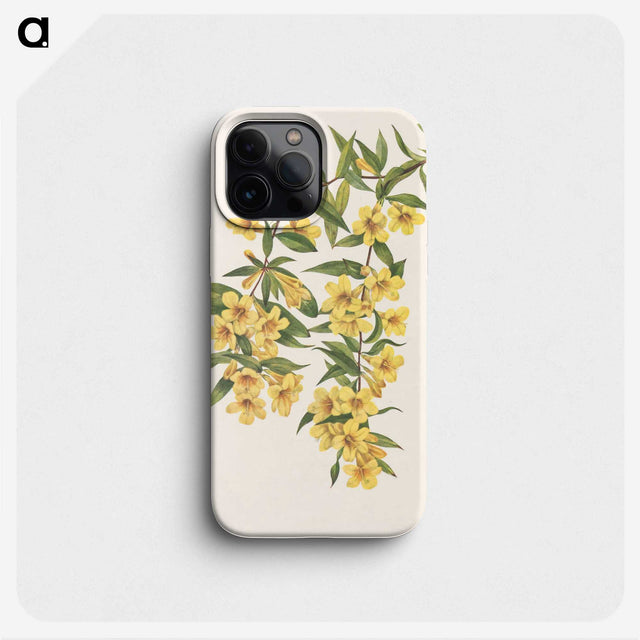 2-83_Mary-Vaux-Walcott_phone