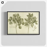 2-83_National-Library-of-Medicine_blk-crop