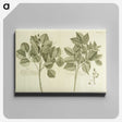 2-83_National-Library-of-Medicine_canvas
