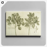 2-83_National-Library-of-Medicine_canvas
