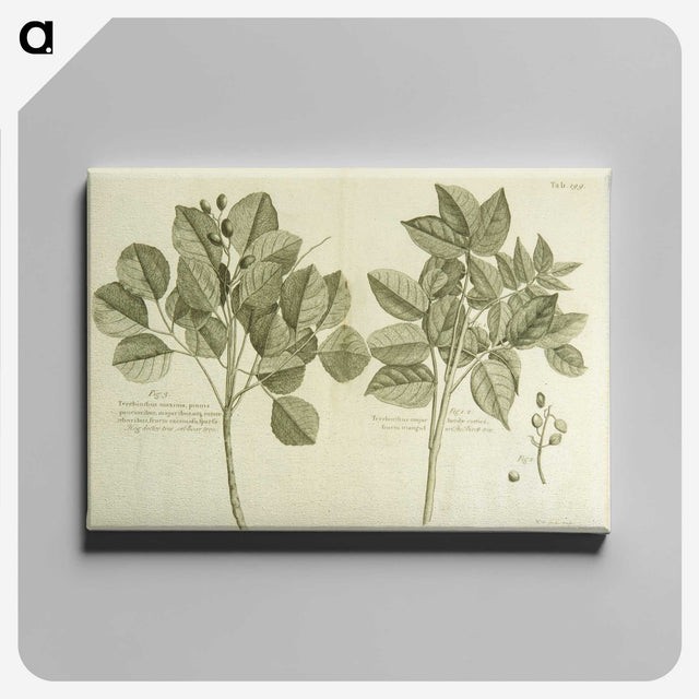 2-83_National-Library-of-Medicine_canvas