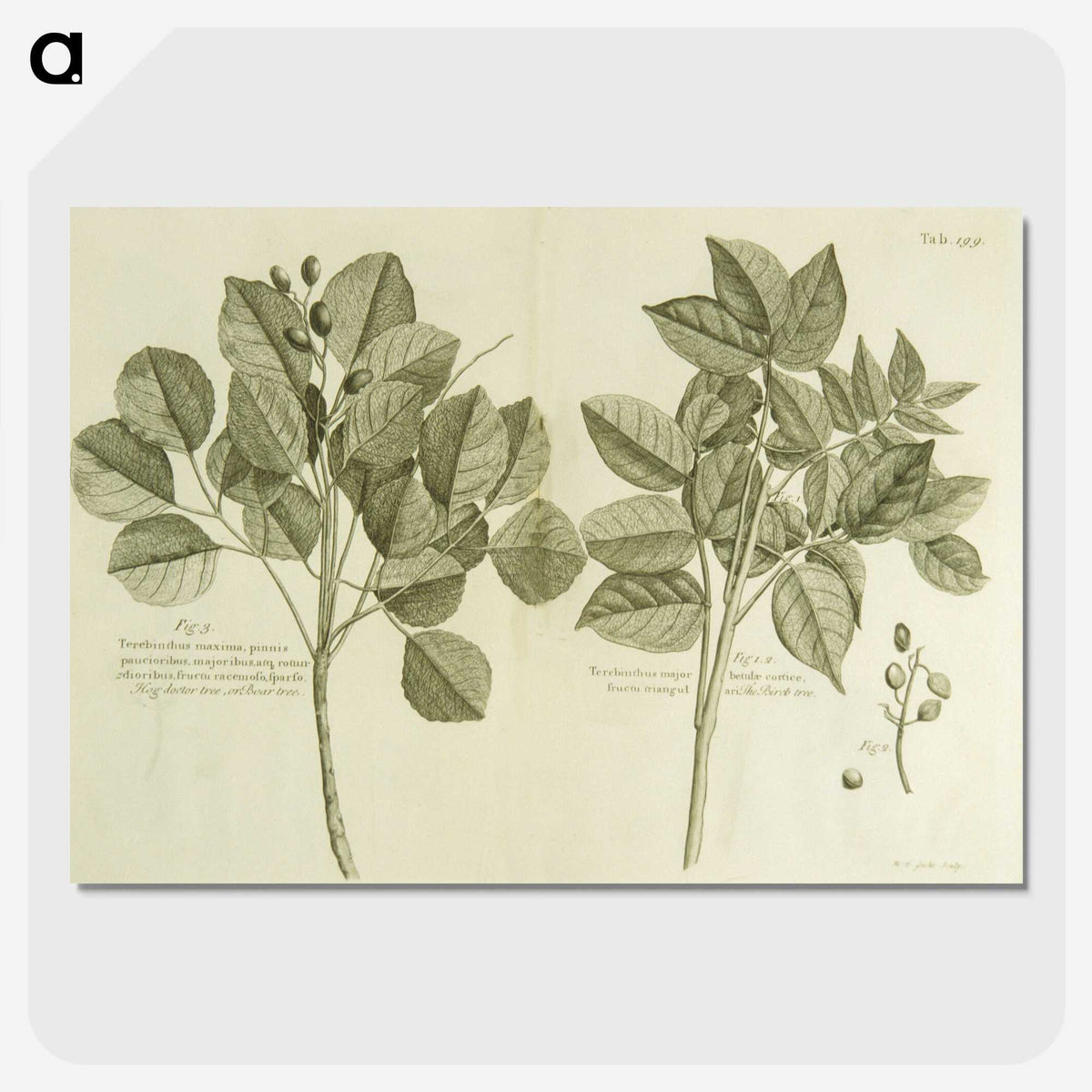 2-83_National-Library-of-Medicine_picture-crop