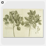 2-83_National-Library-of-Medicine_picture-crop