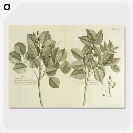 2-83_National-Library-of-Medicine_picture-crop