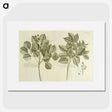 2-83_National-Library-of-Medicine_picture