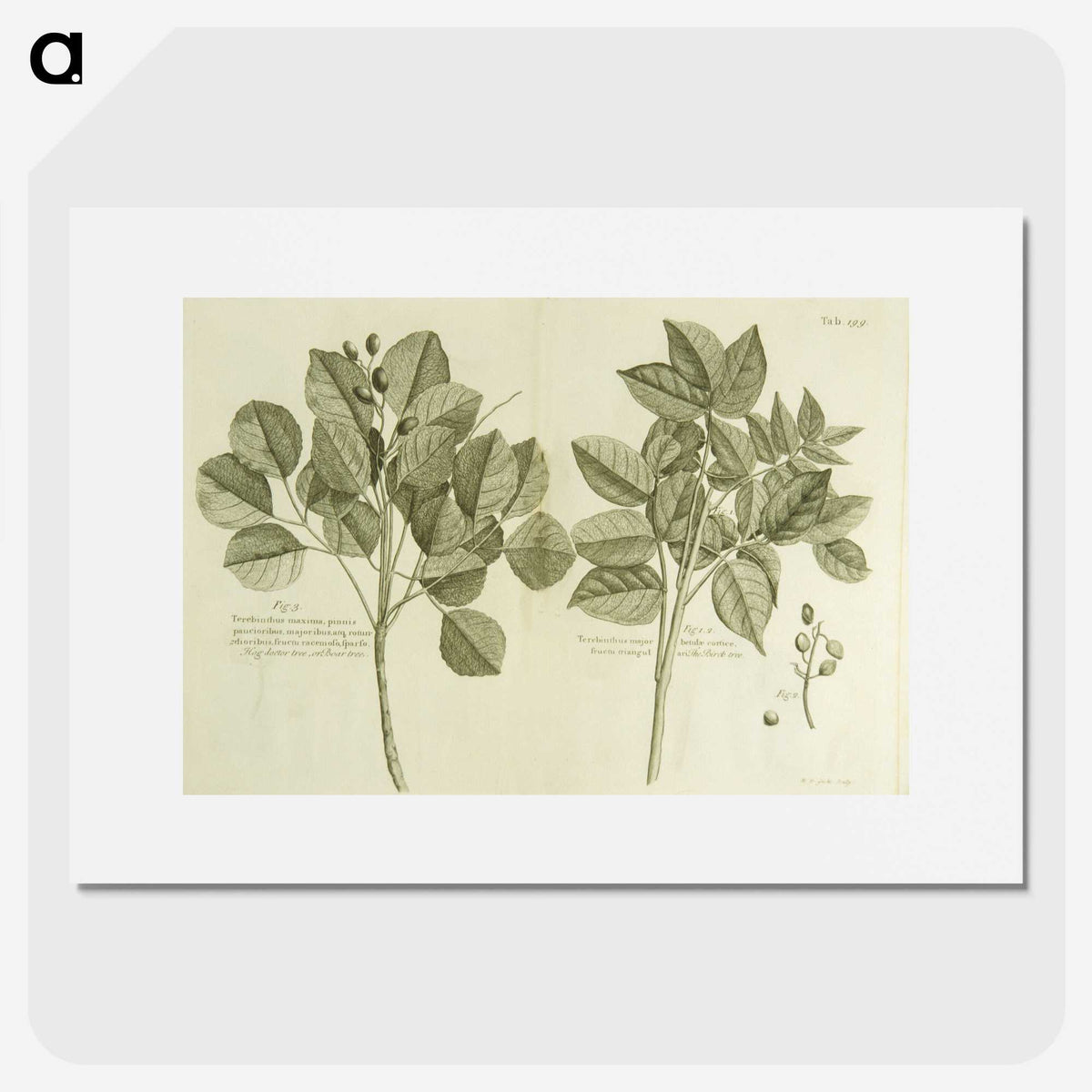 2-83_National-Library-of-Medicine_picture