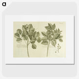 2-83_National-Library-of-Medicine_picture