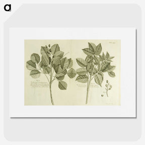 2-83_National-Library-of-Medicine_picture