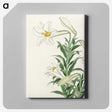 2-83_Ohara-Koson_canvas