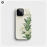 2-83_Ohara-Koson_phone