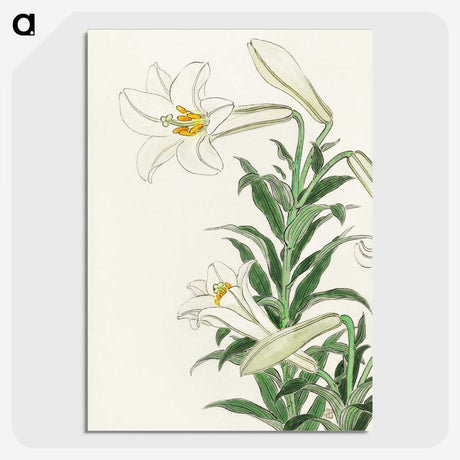 2-83_Ohara-Koson_picture-crop
