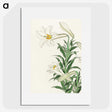 2-83_Ohara-Koson_picture
