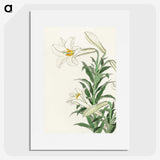 2-83_Ohara-Koson_picture