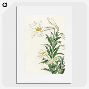 2-83_Ohara-Koson_picture