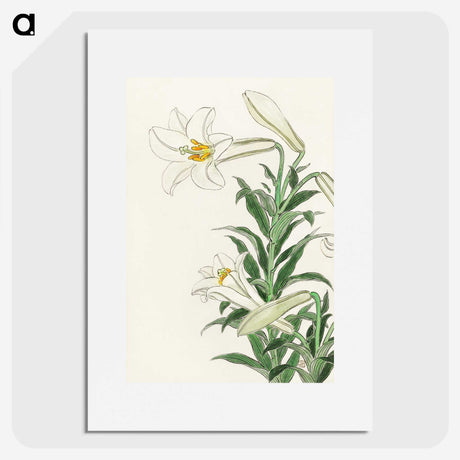 2-83_Ohara-Koson_picture