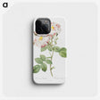 2-83_Pierre-Joseph-Redoute_phone