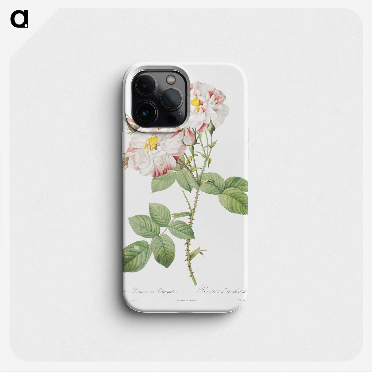 2-83_Pierre-Joseph-Redoute_phone