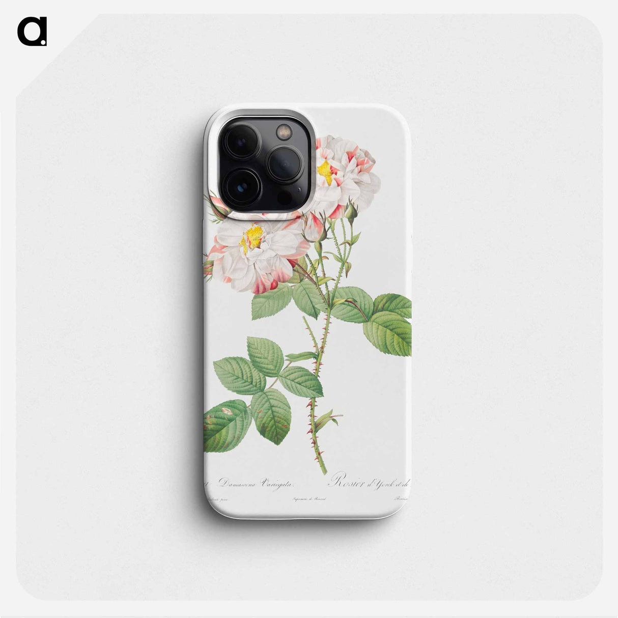 Damask Rose, York and Lancaster Rose - ピエール ジョゼフ ルドゥーテ Phone Case.