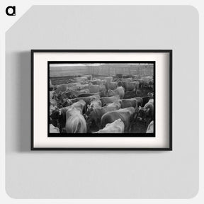 アートポスター-Jersey Cows at Dairy
 - ラッセル リー Poster.