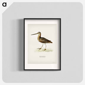 アートポスター-Common Snipe
 - スヴェンスカ フォグラル Poster.