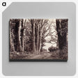 2-83_The-Burton-Brothers_canvas