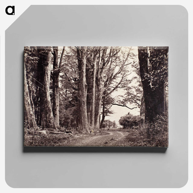 2-83_The-Burton-Brothers_canvas