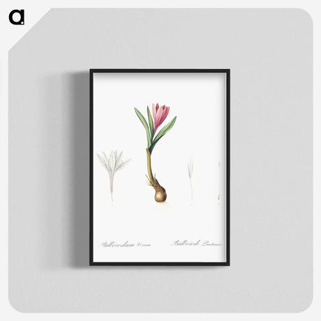 2-83_The-Lilies_blk-crop
